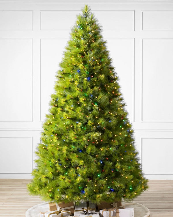 Árvore de Natal Verde Monterey Pine com Galhos Longos, Suporte Metálico e Micro LEDs Coloridos Embutidos 1