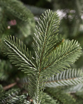 Árvore de Natal European Fir com Galhos Articulados, Suporte Metálico e Micro LEDs Embutidos