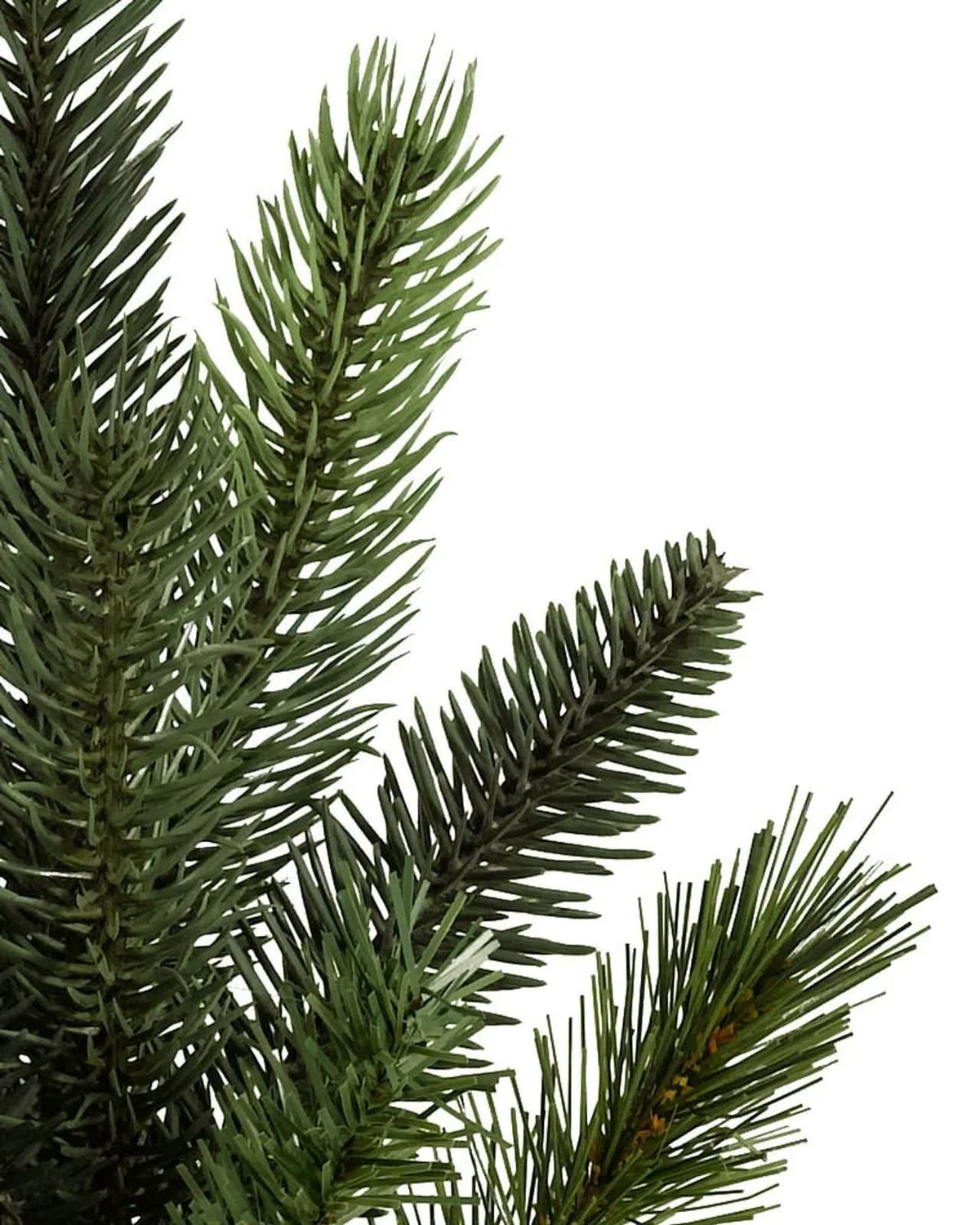 Árvore de Natal California Baby Redwood com Galhos Articulados, Suporte Metálico e Micro LEDs Embutidos 3