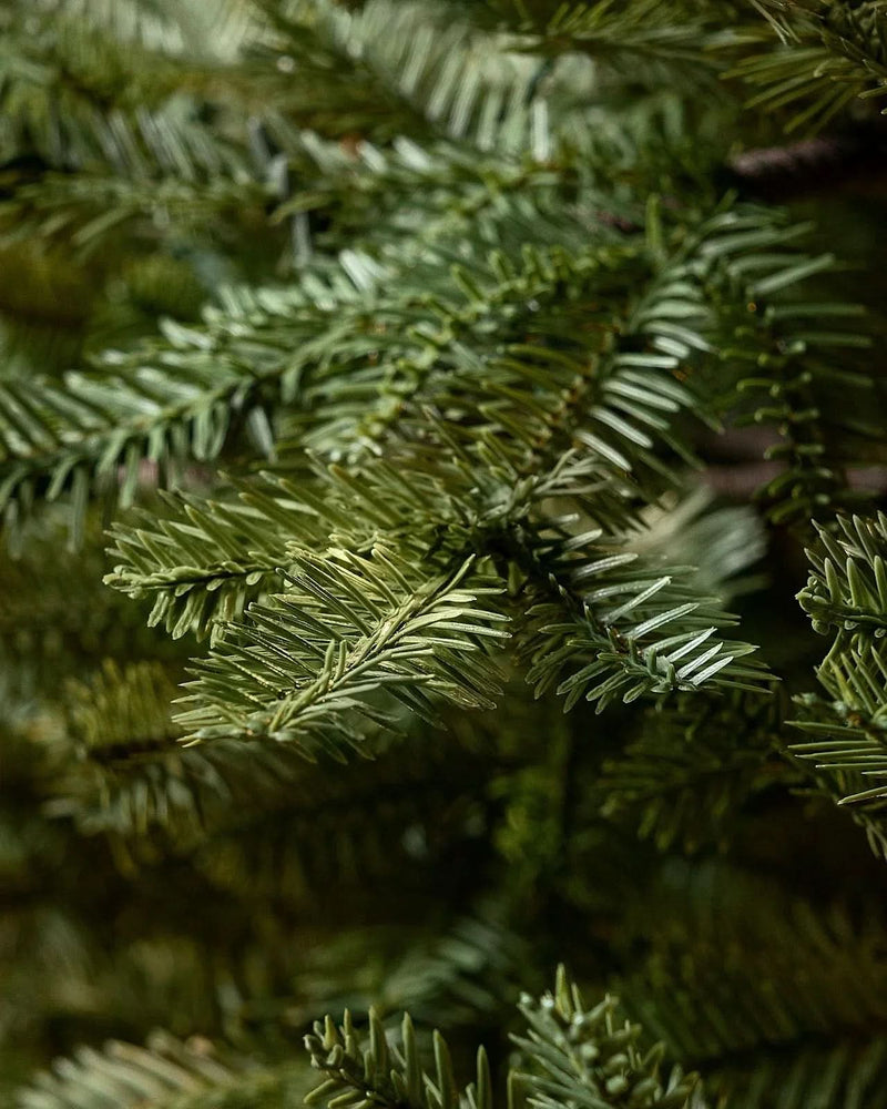 Árvore de Natal Verde Premium com Galhos Articulados, Suporte Metálico e Micro LEDs Embutidos 4