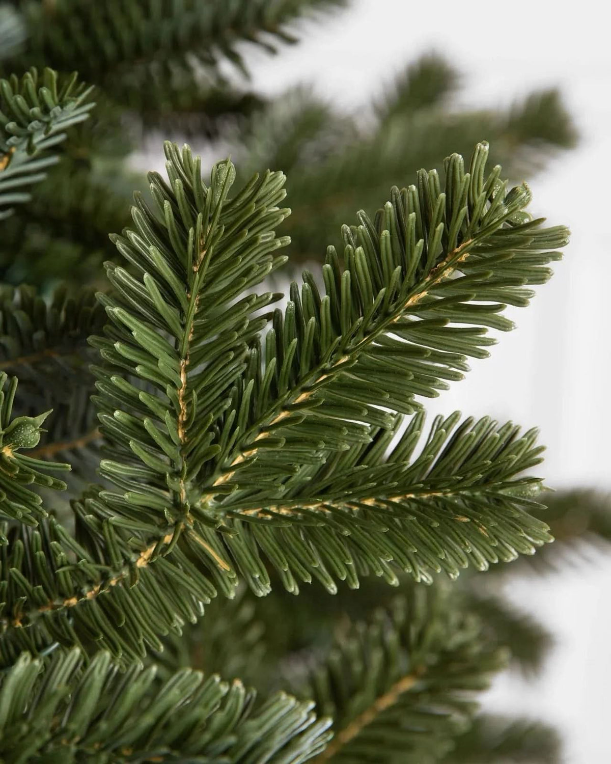 Árvore de Natal Fraser Fir com Galhos Articulados, Suporte Metálico e Micro LEDs Coloridos Embutidos 3